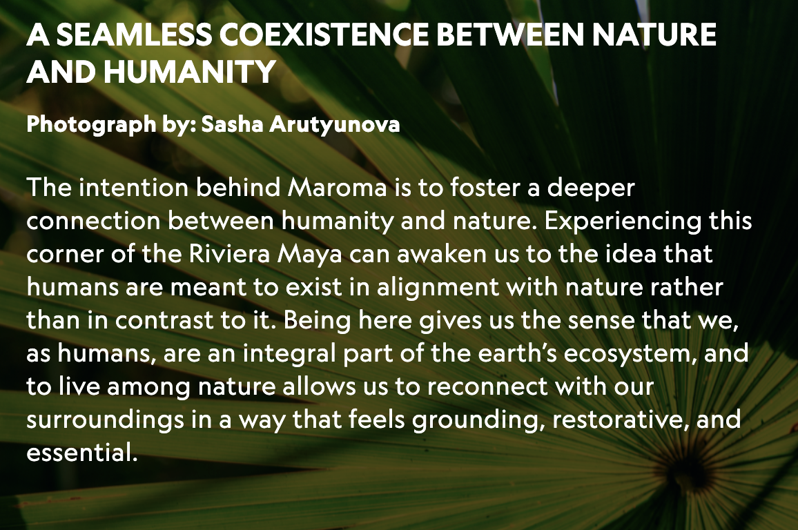 A Seamless Coexistence Between Nature and Humanity — photo gallery caption
