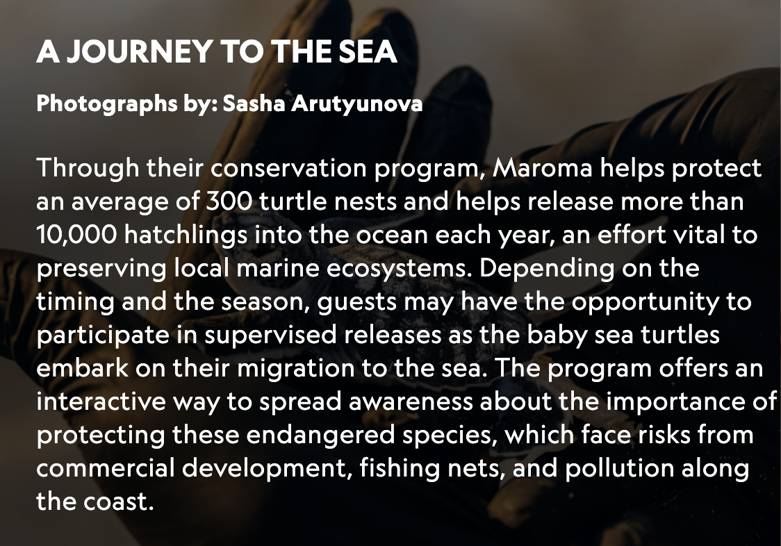 A Journey to the Sea — photo gallery caption