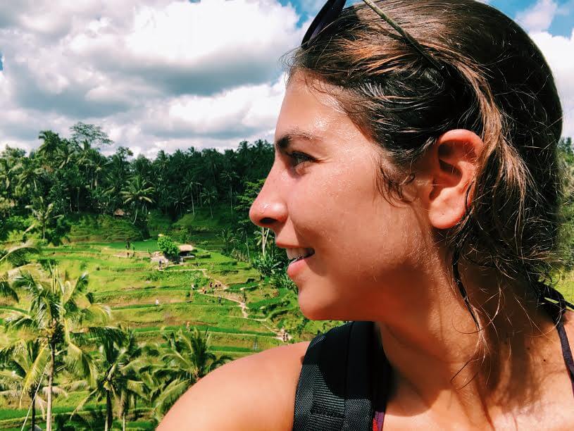 Rice Terraces in Ubud, Bali