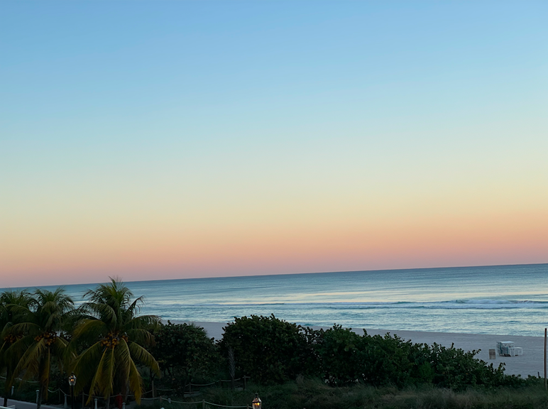How I Experienced the Circle of Life During One Week in Miami