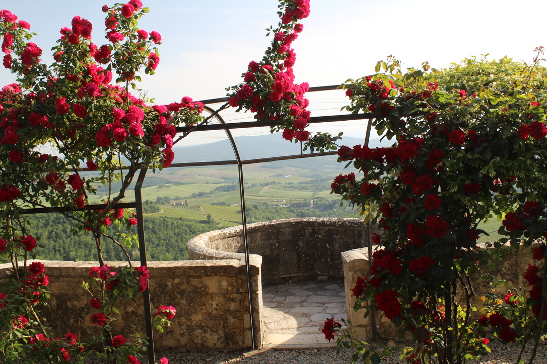 tuscany garden