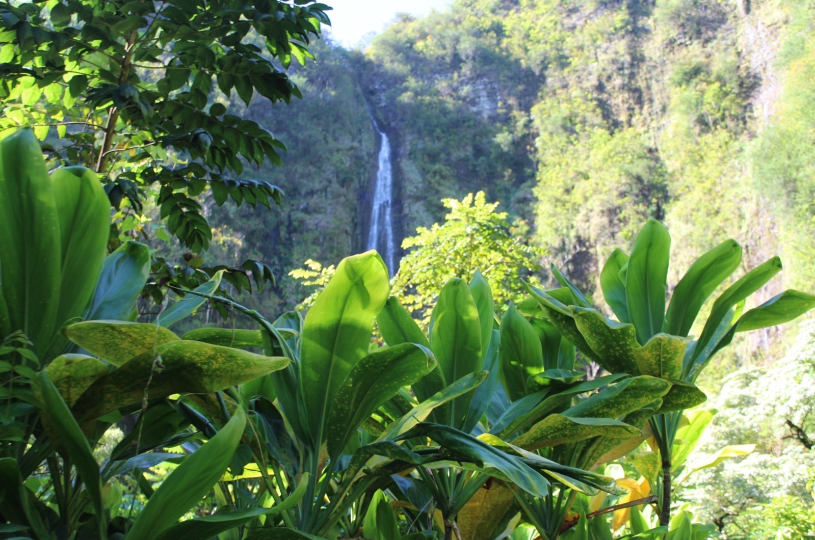 hawaii waterfall